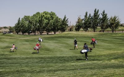 Looking for the Best Sunday Golf Bag?